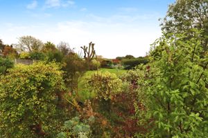 WIVENHOE ROAD- click for photo gallery